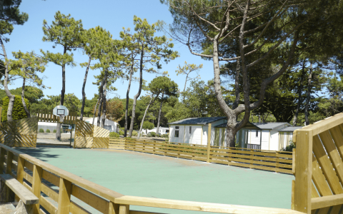 Camping Suroit Les animations sportives 1
