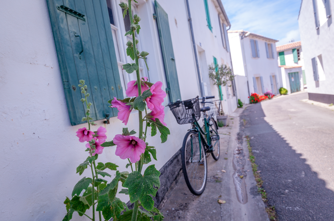 velo-iledere-lesuroit