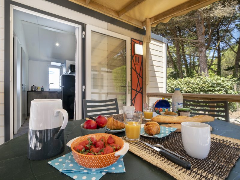 Location  GRAND CONFORT : Mobile-Home, 2 people, 1 bedroom, Covered wooden terrace au camping Le Suroit - 1