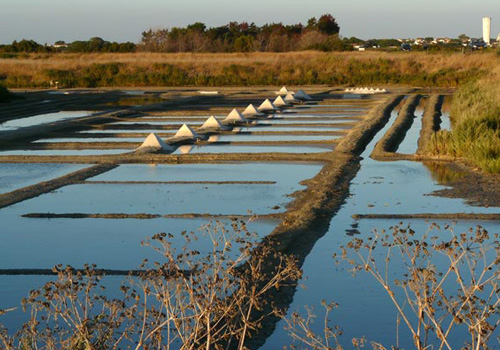 marais-salant-iledere