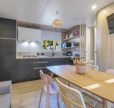 Location  PREMIUM : Mobil home TV, 6 personnes, 3 chambres, 2 salles de bain, jacuzzi privatif, climatisation, Neuf au camping Le Suroit - 3