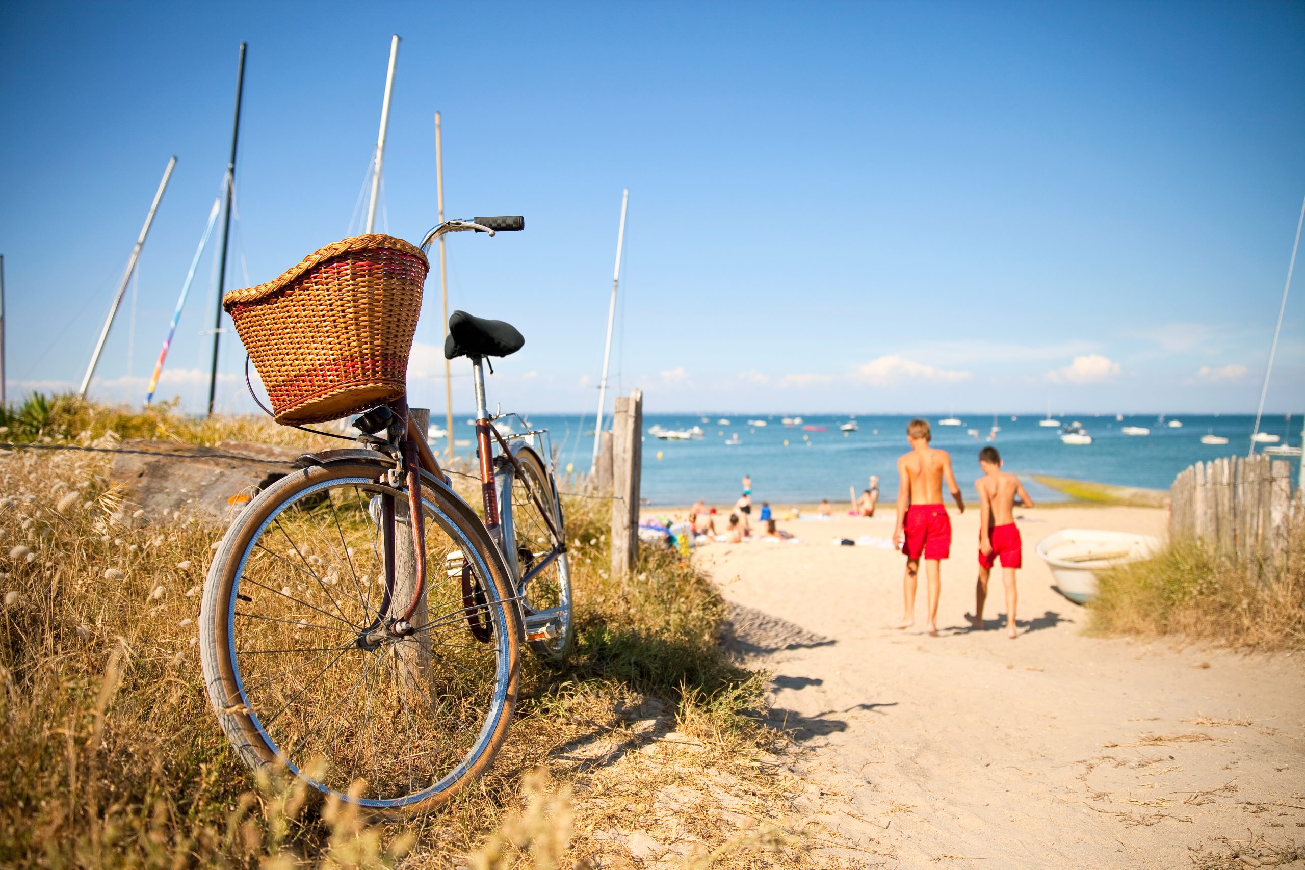 Vélos ile de ré