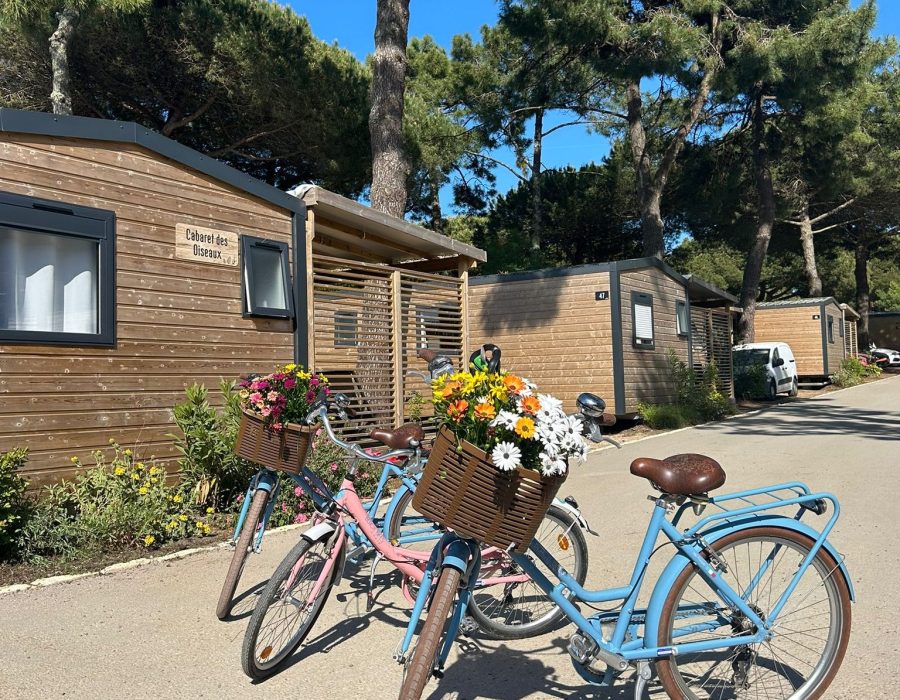 Camping Suroit La location de vélos  0