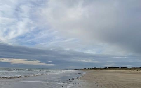 Pratiquer la pêche à pied sur l’île de Ré