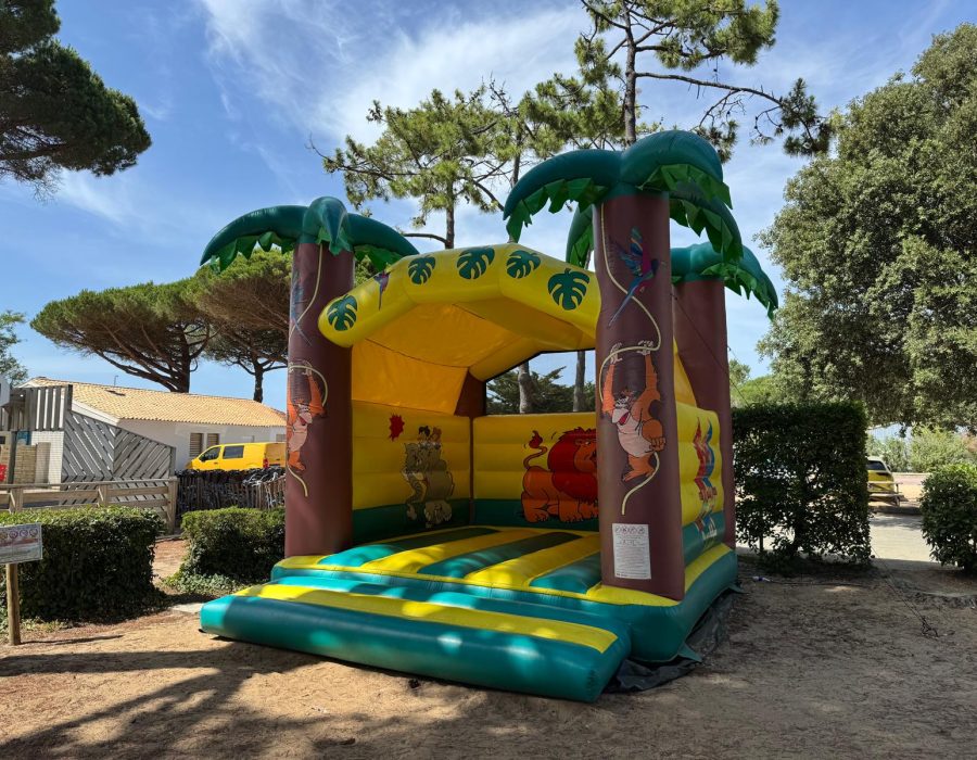 Camping Suroit The playground  0